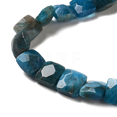 Natural Apatite Beads Strands G-C109-A13-02-1