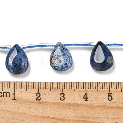 Natural Dumortierite Beads Strands G-Q183-B02-01B-1