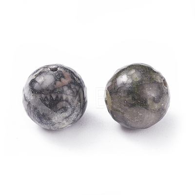 Natural Fossil Beads G-G782-04-1