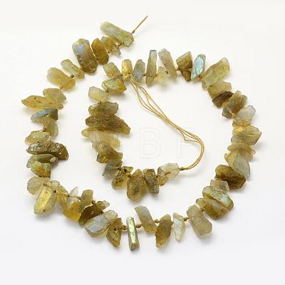 Natural Labradorite Beads Strands G-K202-11A-1