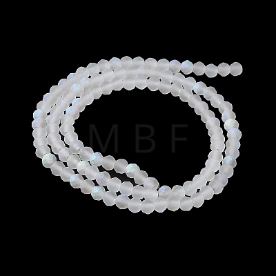 Transparent Glass Beads Strands EGLA-A044-T3mm-MB19-1