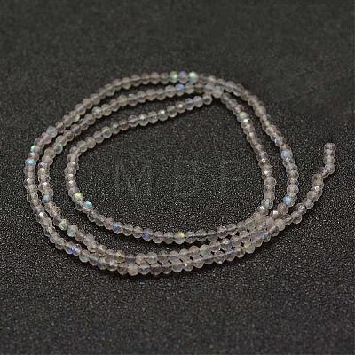 Natural Labradorite Beads Strands G-K182-2mm-25A-1