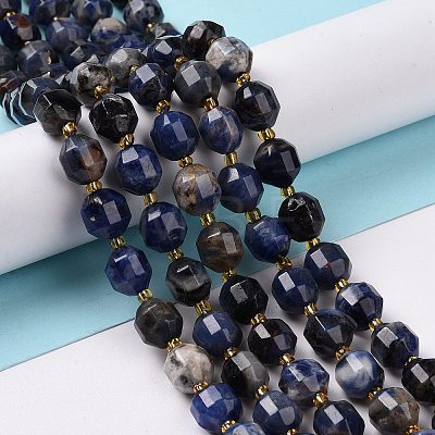 Natural Sodalite Beads Strands with Seed Beads G-G990-E01-1