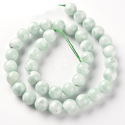 Glass Beads Strands G-S362-102D-1