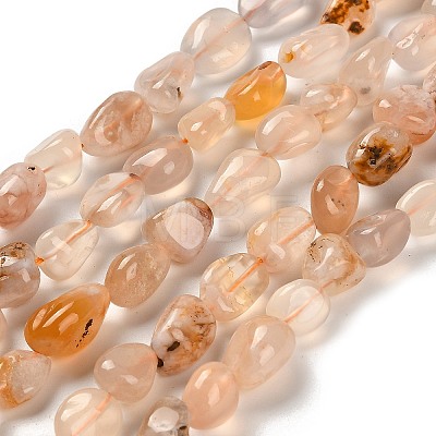 Natural Cherry Blossom Agate Beads Strands G-P497-01E-68-1