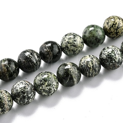 Natural Green Zebra Jasper Beads Strands G-L574-05B-1
