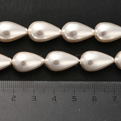 Electroplate Shell Pearl Beads Strands BSHE-G010-10x16mm-01-1