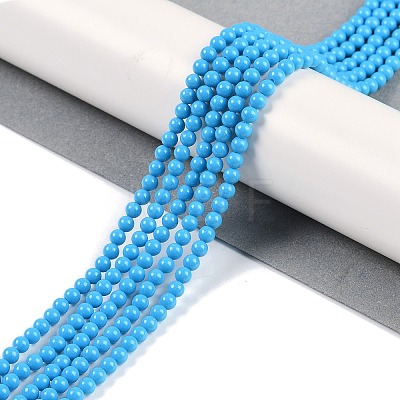 Synthetic Turquoise Beads Strands G-U004-02F-1