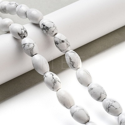 Natural Howlite Beads Strands G-B106-B25-01-1