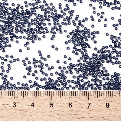 MIYUKI Round Rocailles Beads X-SEED-G009-RR4493-1