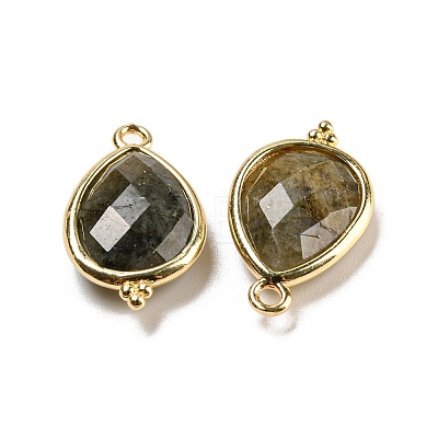 Natural Labradorite Faceted Pendants G-M431-15G-04-1