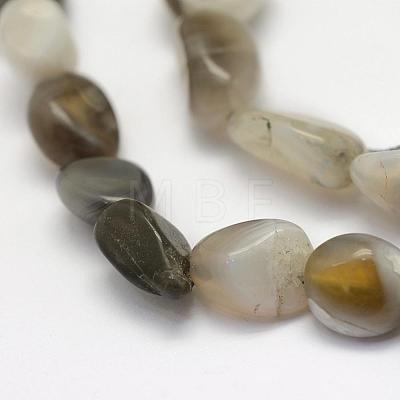 Natural Botswana Agate Beads Strands G-L464-03-1