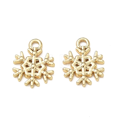 304 Stainless Steel Charms SA-CBA3037-12G-1