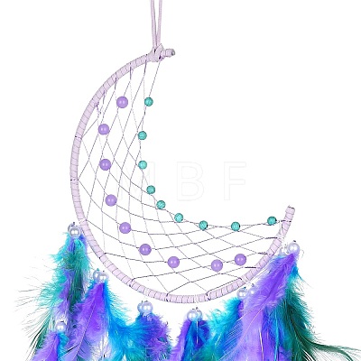 Iron Woven Web/Net with Feather Pendant Decorations LS-AJEW-P097-06-1