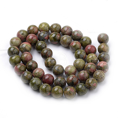 Natural Unakite Beads Strands G-S259-14-10mm-1