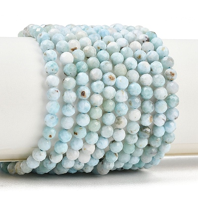 Natural Larimar Beads Strands G-B175-D08-4mm-1
