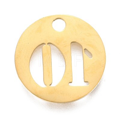 304 Stainless Steel Pendants STAS-F233-10-G-1