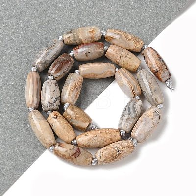 Natural Mexican Lace Agate Beads Strands G-NH0010-I03-01-1