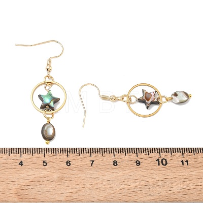 Natural Paua Shell & Stainless Steel Dangle Earrings for Women EJEW-JE07076-01-1