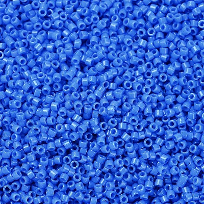 MIYUKI Delica Beads SEED-X0054-DB2134-1