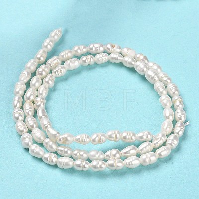 Natural Cultured Freshwater Pearl Beads Strands PEAR-E016-146-1