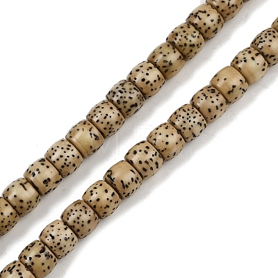 Natural Rudraksha Bodhi Seed Beads Strand WOOD-B010-A03-5x6mm-1
