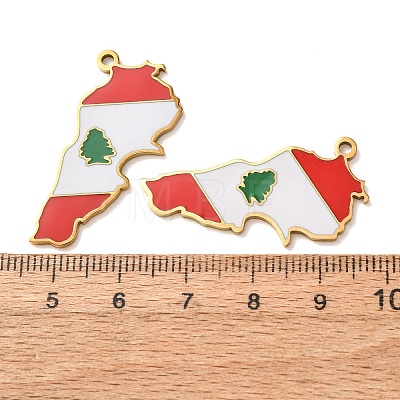 304 Stainless Steel & Enamel Pendants SA-CBA6ECE-01D-G-1