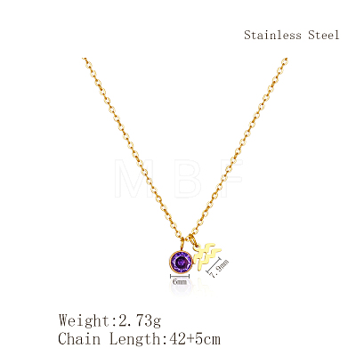 Stainless Steel Pace Purple Cubic Zirconia Birthstone Zodiac Aquarius Pendant Necklaces for Women ZA6688-3-1