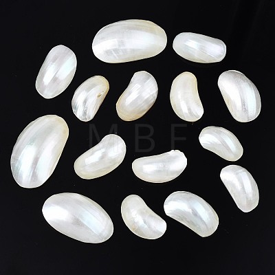 Natural Conch Shell Cabochons SSHEL-N034-91-1