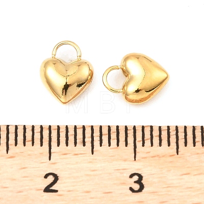 304 Stainless Steel Charms STAS-A089-29G-1