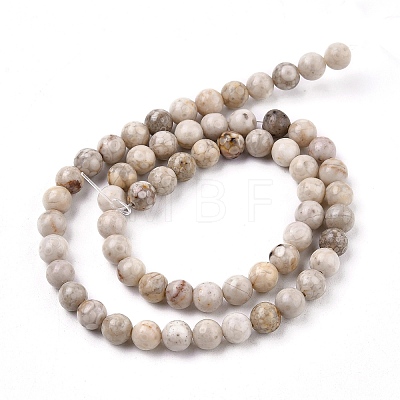 Natural Maifanite/Maifan Stone Beads Strands G-I187-6mm-01-1