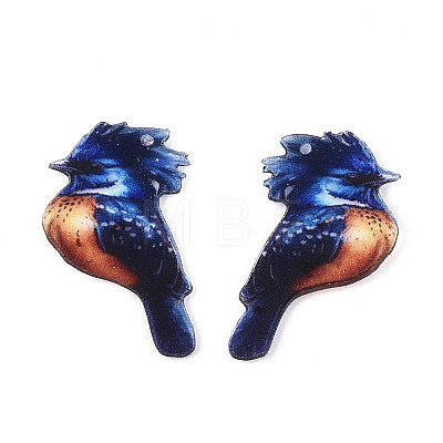 Epoxy Resin Pendants RESI-N045-01C-1