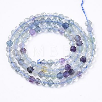 Natural Fluorite Beads Strands G-R462-033-1
