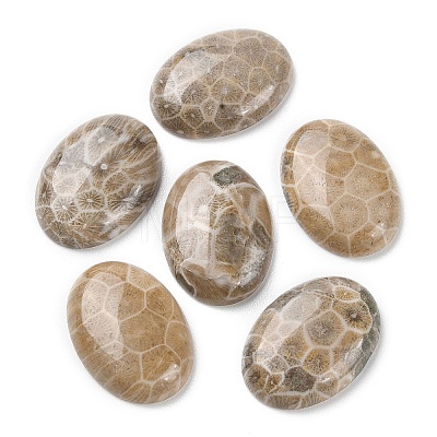 Natural Fossil Coral Cabochons G-J329-20-10x14mm-1