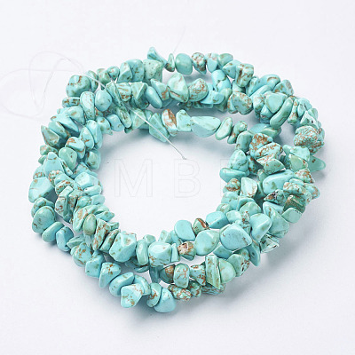 Synthetic Turquoise Beads Strands X-G-D283-3x5-10-1