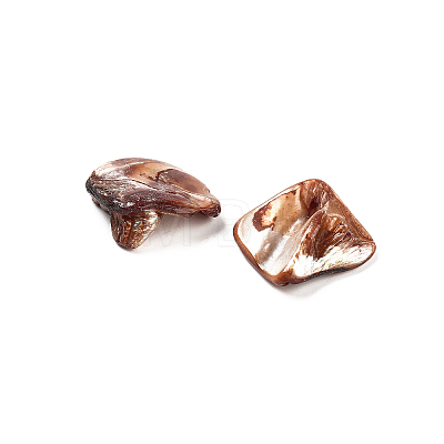 Natural Freshwater Shell Beads BSHE-S028-3-1