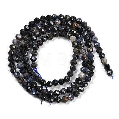 Natural Sapphire Beads Strands G-F782-B01C-02-1