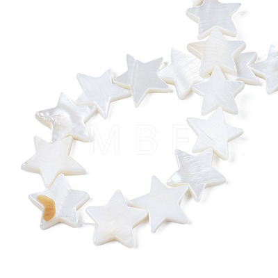 Natural Freshwater Shell Beads Strands SHEL-S278-01D-01-1
