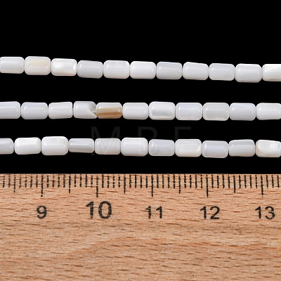 Natural Freshwater Shell Beads Strands SH-CBA2978-21A-1