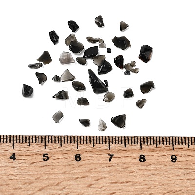 Natural Obsidian Chip Beads X-G-L453-08-1