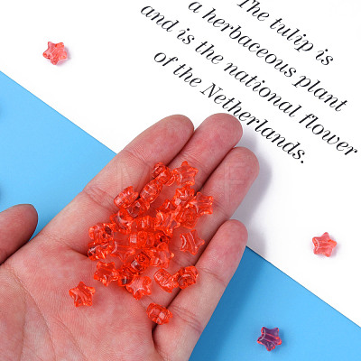 Transparent Acrylic Beads MACR-S373-45-B06-1