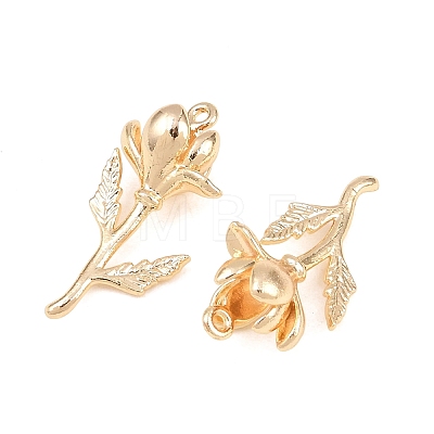 Brass Pendants KK-A288-01G-02-1