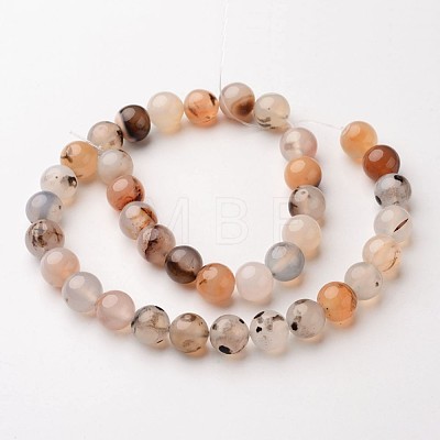 Natural Dendritic Agate Beads Strands X-G-D845-04-8mm-1