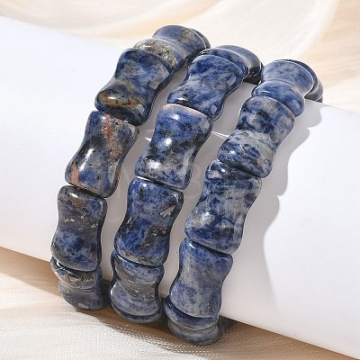 Bamboo Natural Sodalite Beads Stretch Bracelets for Women Men BJEW-K304-01E-1