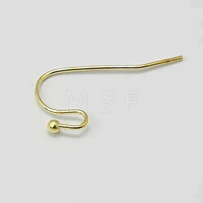 Brass Earring Hooks J0JQN-G-NF-1