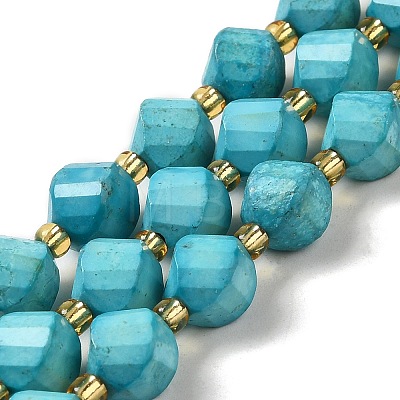 Dyed Natural Howlite Beads Strands G-G023-B01-02C-1