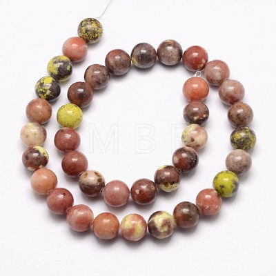 Natural Plum Blossom Jasper Beads Strands G-A163-02-6mm-1