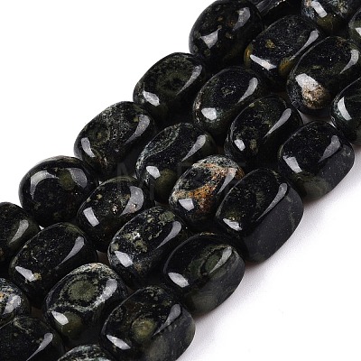 Natural Kambaba Jasper Beads Strands G-T138-112-1