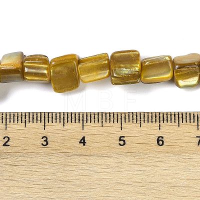 Dyed Natural Freshwater Shell Beads Strands SHEL-P016-01F-1