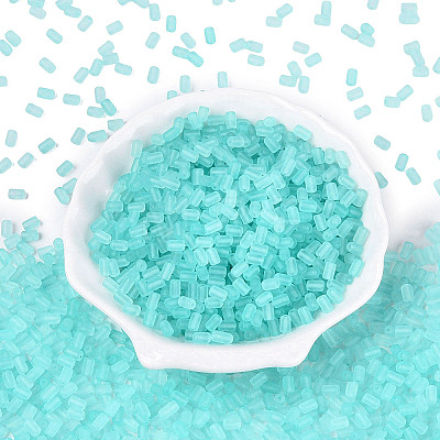 FGB Frosted Transparent Glass Seed Beads SEED-N013-05A-10-1